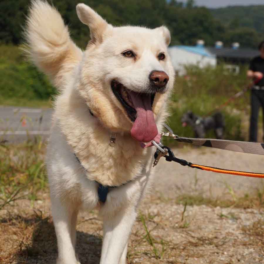 매튜 사진 2