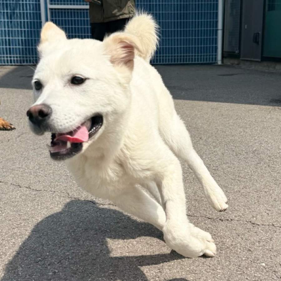 찰떡 사진 11