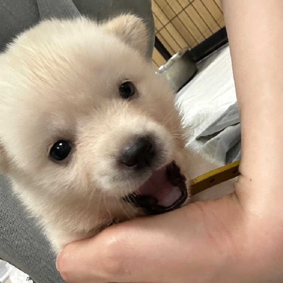 와쿠 사진 2
