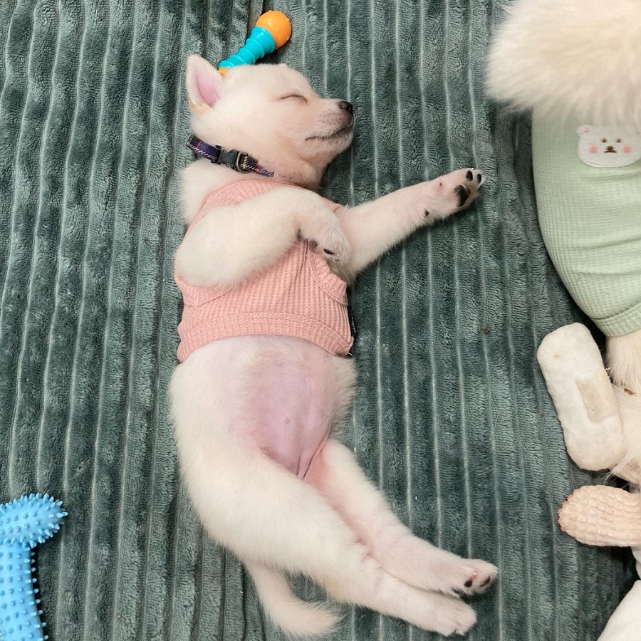 와쿠 사진 8