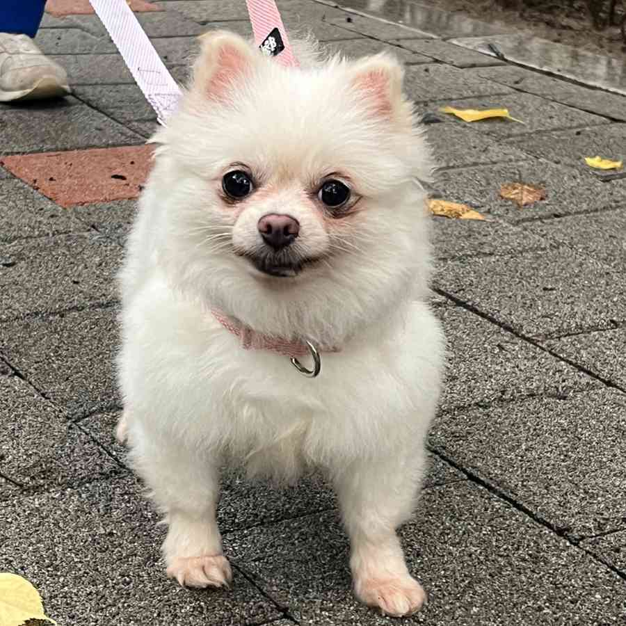 우유 사진 2